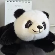 <strong>Daniel R.</strong>