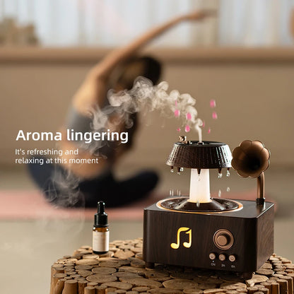 🌧️ RainTurn Vintage Aroma Diffuser 🎶✨